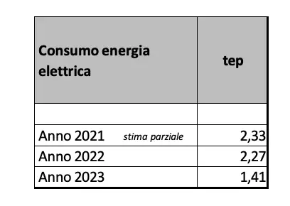Consumi annui energia elettrica in tep.