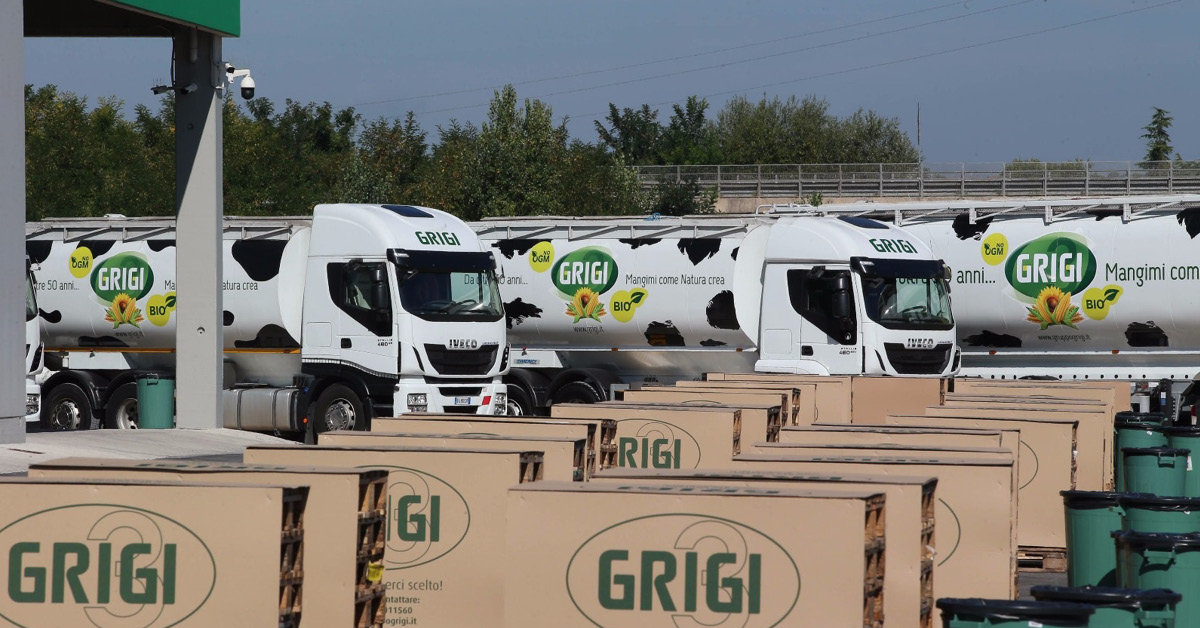 Parco Veicoli Gruppo Grigi