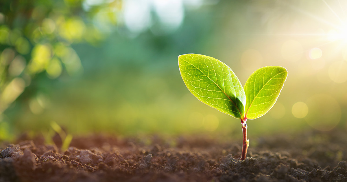 giornata mondiale terra