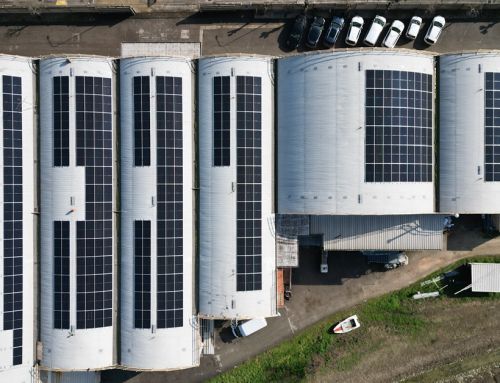 Il futuro è green: al via i lavori per il nuovo impianto fotovoltaico di Minardi Piume